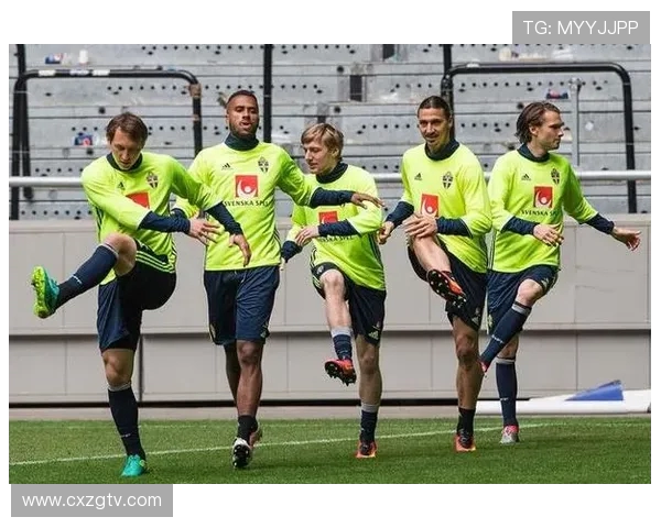 2013年西甲联赛精彩视频集锦与球迷热议瞬间