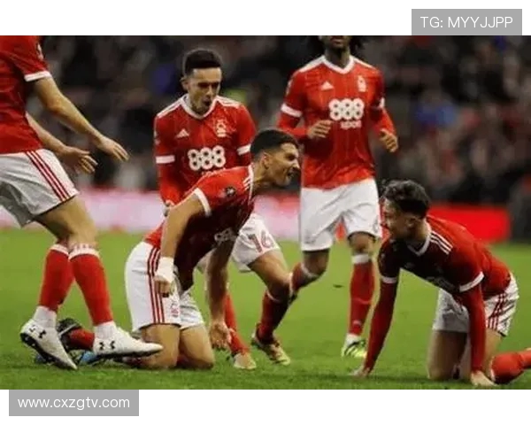 谢菲尔德联队对阵水晶宫赛前分析与比分预测前瞻英超焦点战走势全面解读